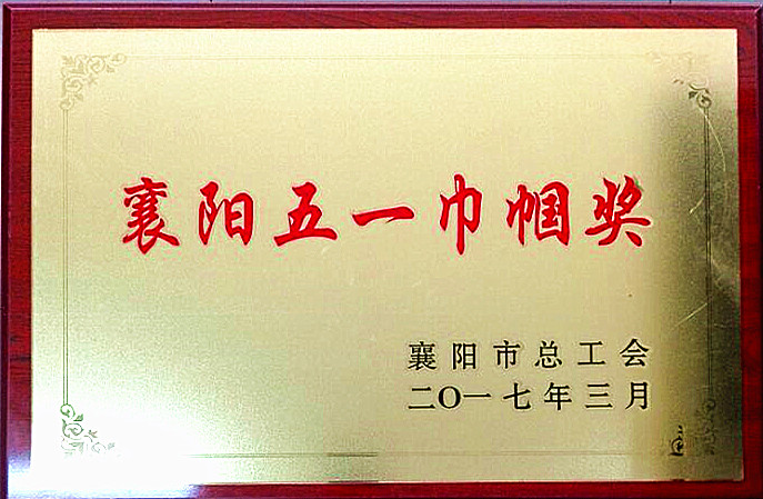 517路獲市總工會“五一巾帼獎”獎牌